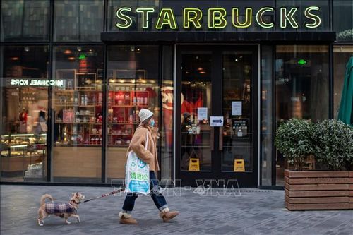 Áp lực cạnh tranh đẩy Starbucks lún sâu vào cuộc đua về giá