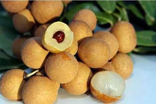 Nhãn vào mùa giá rẻ nhưng có 5 loại người đang mang bệnh không được ăn kẻo 'bệnh càng thêm nặng'