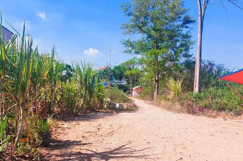 Sở TN-MT Sóc Trăng 'kêu cứu' vì thua kiện thửa đất trị giá 20 tỷ đồng