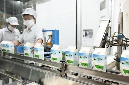 Giá cổ phiếu thương hiệu sữa lâu đời nhất Việt Nam tăng dựng đứng sau thông tin chuyển sàn