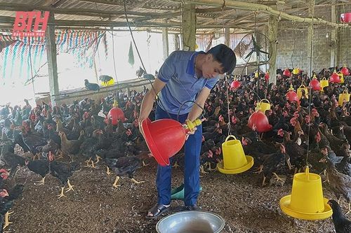 Bảo vệ vật nuôi mùa nắng nóng