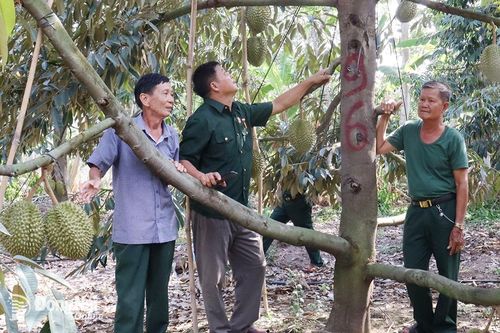 Chủ tịch hội cựu chiến binh xã giỏi vận động