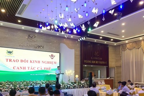 Trao đổi kinh nghiệm canh tác cà phê