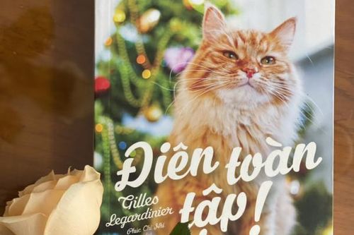 Tiểu thuyết Điên toàn tập - Tiếp nối dòng chảy nhân hậu