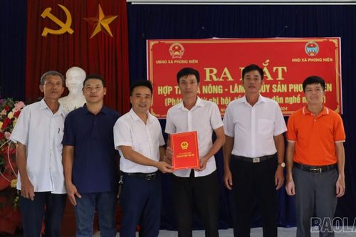 Ra mắt Hợp tác xã Nông - Lâm - Thủy sản Phong Niên