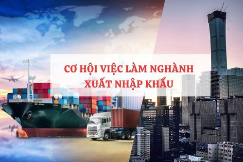 Học xuất nhập khẩu có dễ xin việc không?