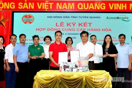 Bồi dưỡng kiến thức chuyển đổi số cho 100 nông dân