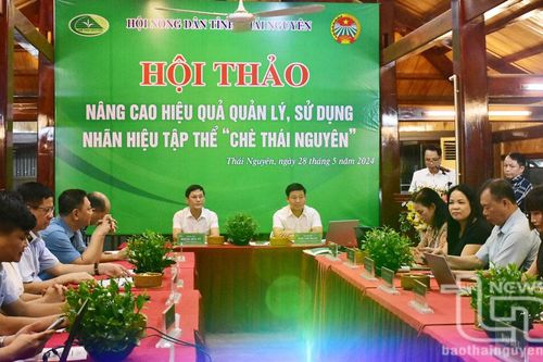 Nâng cao hiệu quả quản lý, sử dụng nhãn hiệu tập thể 'Chè Thái Nguyên'