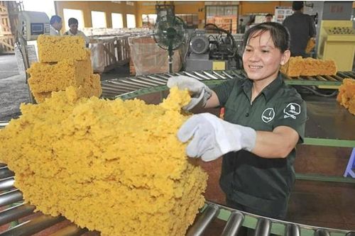 Hưởng lợi từ giá cao su neo cao, Cao Su Đồng Phú (DPR) chờ thêm 'tin vui' từ mảng khu công nghiệp