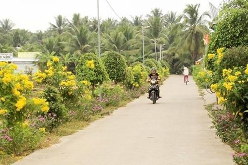 Trà Vinh: Hoàn thành 7/8 nội dung thực hiện nhiệm vụ xây dựng nông thôn mới