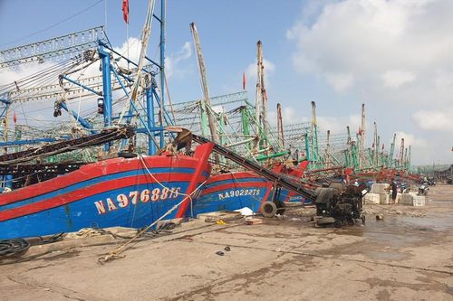 Nghệ An: Triển khai đồng bộ các giải pháp chống khai thác IUU và phát triển bền vững ngành thủy sản