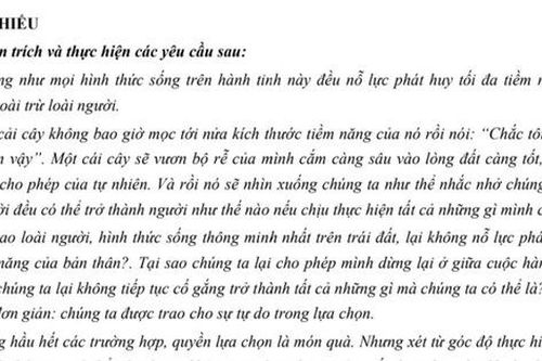 Tác phẩm 'Những mảnh ghép cuộc đời' vào đề thi thử tốt nghiệp môn Ngữ văn