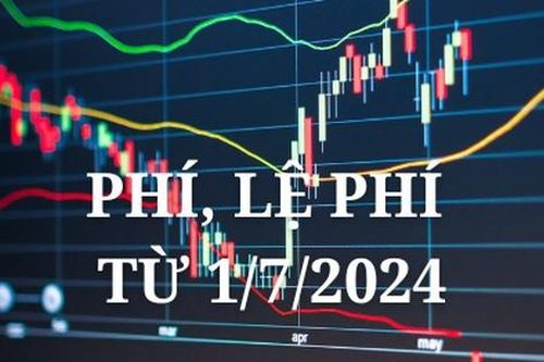 Từ 1/7, dự kiến một số lệ phí thường gặp sẽ được giảm...