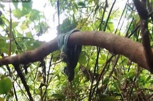 Vụ cô gái bị 'người tình' sát hại: Nghi phạm đã tự vẫn trong rừng