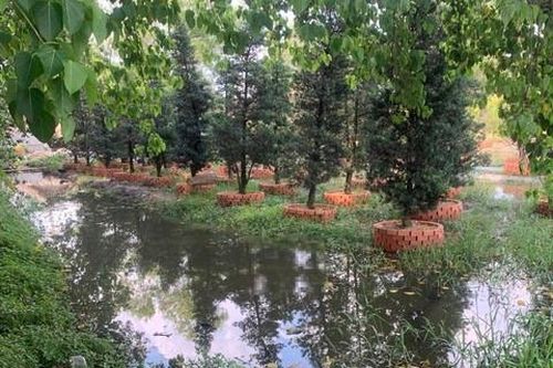 Điều tra vụ bé trai tử vong dưới ao nước gần nơi cha mình làm việc