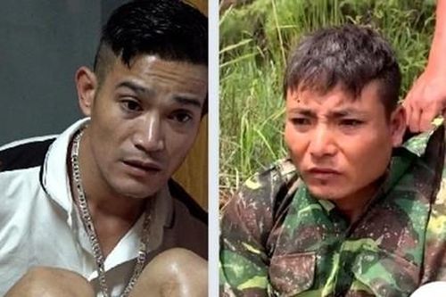 Bắt nhóm đối tượng núp bóng chăm sóc cây cảnh để buôn ma túy