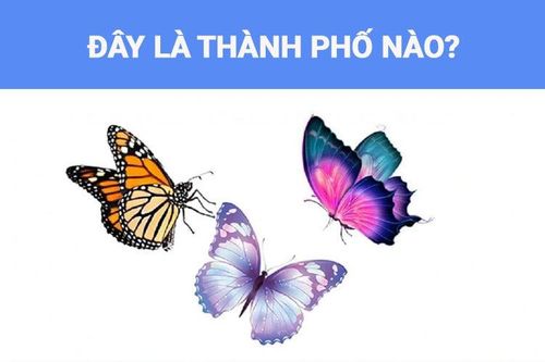 IQ cao sẽ đoán ra ngay đây là thành phố nào của Việt Nam