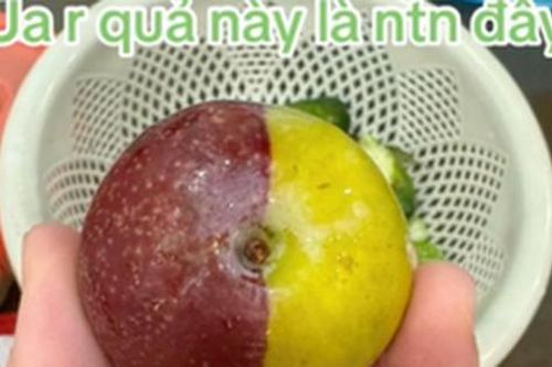 'Mận 2 màu' gây ngỡ ngàng, cắn thử bên trong thế nào?