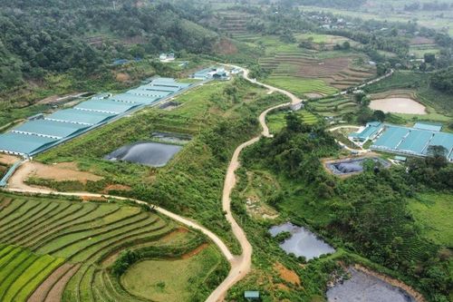 Lai Châu: Người dân phản ánh trang trại lợn gây ô nhiễm môi trường