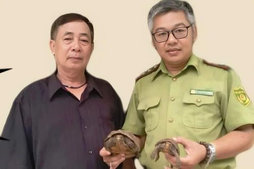 Phát hiện rùa sa nhân quý hiếm lạc vào vườn nhà ở Huế