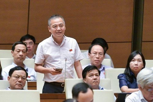 ĐBQH: Quan tâm đầu tư cho y tế cơ sở, hỗ trợ sinh viên ngành y