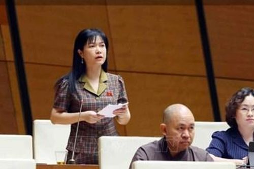 Góc nhìn nghị trường: Xử lý nghiêm đối tượng đầu cơ, lũng đoạn thị trường