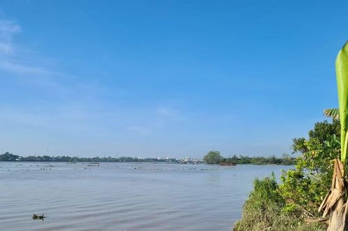 Công bố tình huống khẩn cấp sự cố sạt lở bờ sông Cổ Chiên