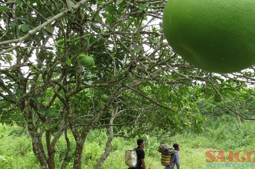 Bên trong 10 hang động nơi người đàn ông 91 tuổi sinh sống