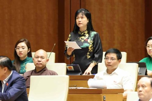 Đại biểu Quốc hội: Ai cũng bị nhận điện thoại lừa đảo