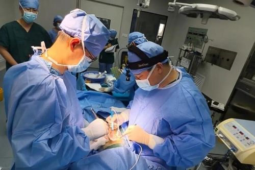Kỳ tích khoa học: Bệnh nhân ung thư được ghép gan lợn bằng phương pháp cấy ghép dị chủng