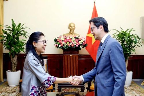 Thứ trưởng Ngoại giao Đỗ Hùng Việt tiếp Đại sứ Thái Lan tại Việt Nam