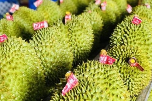 Doanh nghiệp rau quả Việt tranh mua, tranh bán khi thị trường biến động