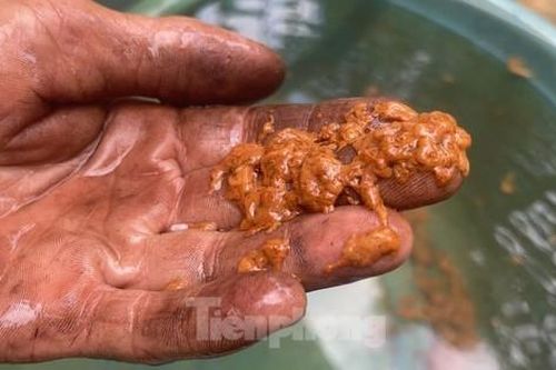 Người dân 'kêu trời' vì ô nhiễm từ nhà máy chế biến mủ cao su