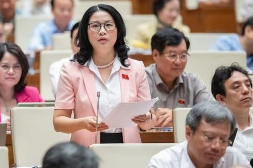 Đại biểu Quốc hội đưa ra giải pháp để người dân hiểu rõ về thị trường carbon