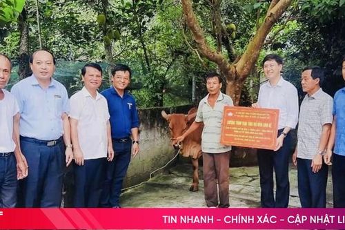 Mặt trận Tổ quốc Hà Tĩnh hỗ trợ 100 mô hình sinh kế cho hộ nghèo