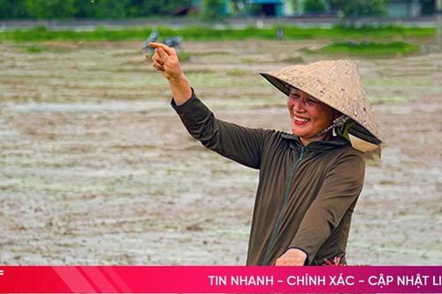 Chạy đua cùng thời vụ, nhanh tay xuống giống lúa hè thu