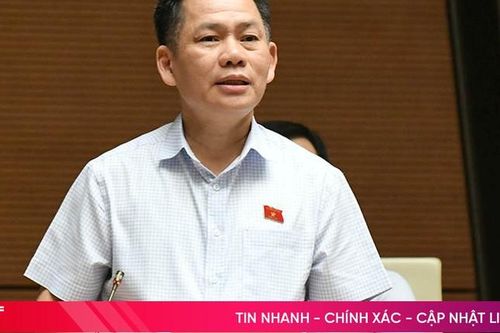 Phó Trưởng đoàn chuyên trách Đoàn ĐBQH Hà Tĩnh nêu ý kiến về dạy thêm, học thêm