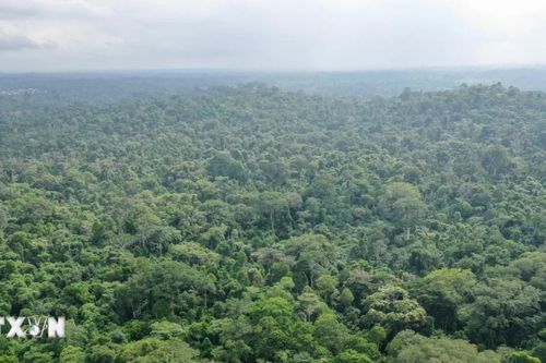 LHQ kêu gọi các nước châu Phi sử dụng giải pháp phát triển dựa vào thiên nhiên