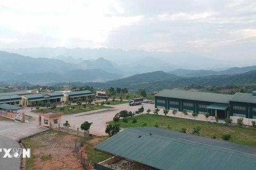 Công ty Cổ phần Cao su Lai Châu cam kết khắc phục tình trạng ô nhiễm môi trường