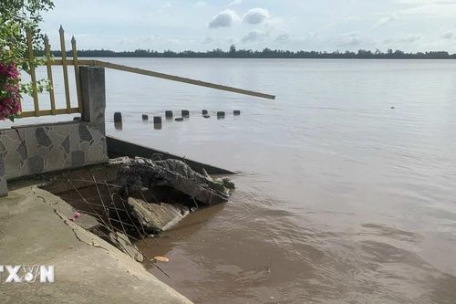 Sóc Trăng: Sạt lở nghiêm trọng ven sông Hậu tại huyện Long Phú