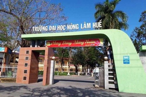 ĐH Nông lâm Huế tuyển sinh 2 ngành 'hot' với cơ hội việc làm cao