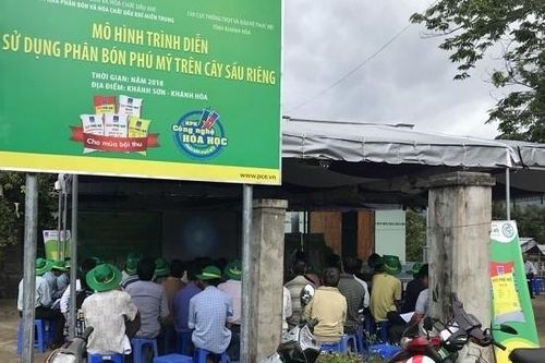 Bí quyết cho những mùa bội thu cây dưa và sầu riêng