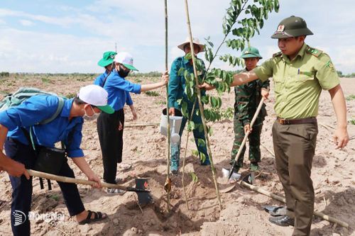 Đồng Nai dẫn đầu khu vực Đông Nam Bộ trong trồng cây xanh