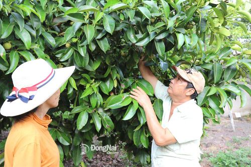 Chủ động nguồn vốn chính sách