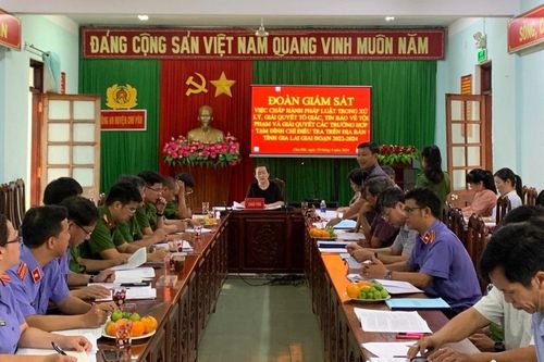 Giám sát việc giải quyết tố giác, tin báo về tội phạm tại Chư Păh