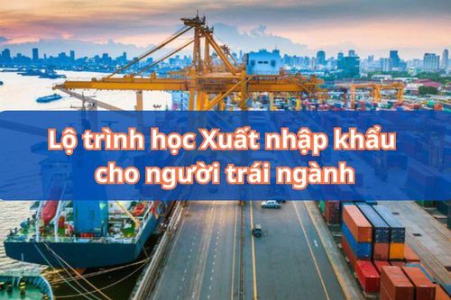 Lộ trình học xuất nhập khẩu cho người mới bắt đầu
