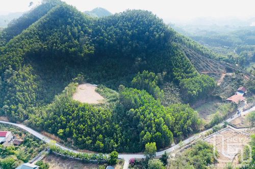 Võ Nhai: Hơn 20.400ha rừng cần được cấp chứng chỉ FSC
