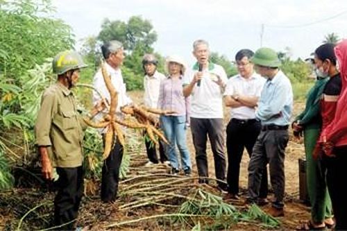 Giáo dục đại học tham gia thúc đẩy phát triển kinh tế - xã hội