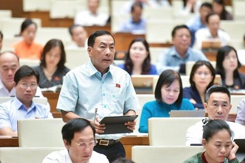 Đại biểu Quốc hội hiến kế để giá vàng ổn định