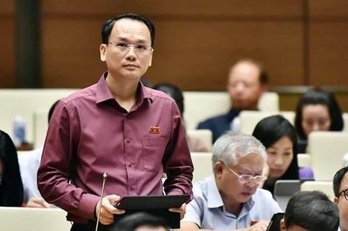 Đại biểu Quốc hội Lưu Bá Mạc (Lạng Sơn): Một đội máy bay hùng mạnh là sức mạnh của quốc gia